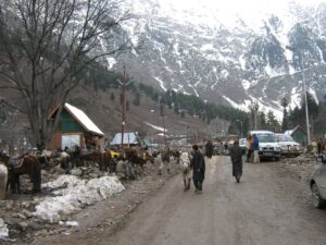 Snow at the Sonmarg