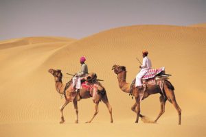 camel running on Rajasthan desert