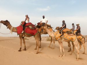 Rajasthan tour
