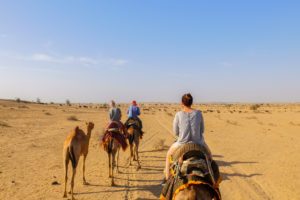 Desert Camel Safari Rajasthan