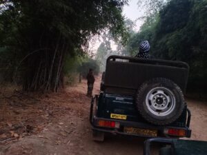 Jeep Safari in Bandhavgarh