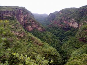 Panchmari Priyadarshini view point