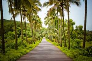 Way to Bagha beach