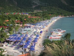 Coral Island
