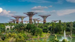 Garden by the bay Singapore