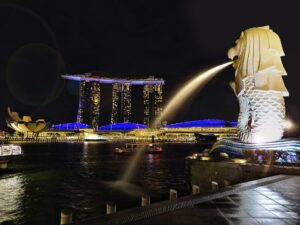 Singapore Garden by the bay night vision