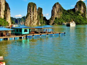 Halong bay cruise