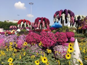 Miracle Garden Dubai