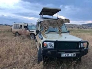 Kenya Tanzania tour packages from India Tour Package