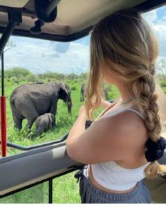 Watching elephant from Safari car Kenya