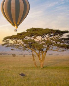Hot ballooning in Kenya