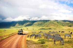 Safari car is going in Africa