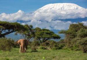 Mount Kilimanjari from Amboseli