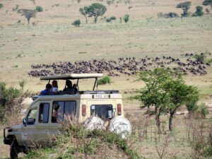 Land cruiser in Kenya tanzania safari
