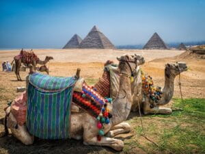 Camel Ride near Giza Pyramid