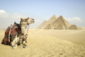 Camel ride near Giza Pyramid