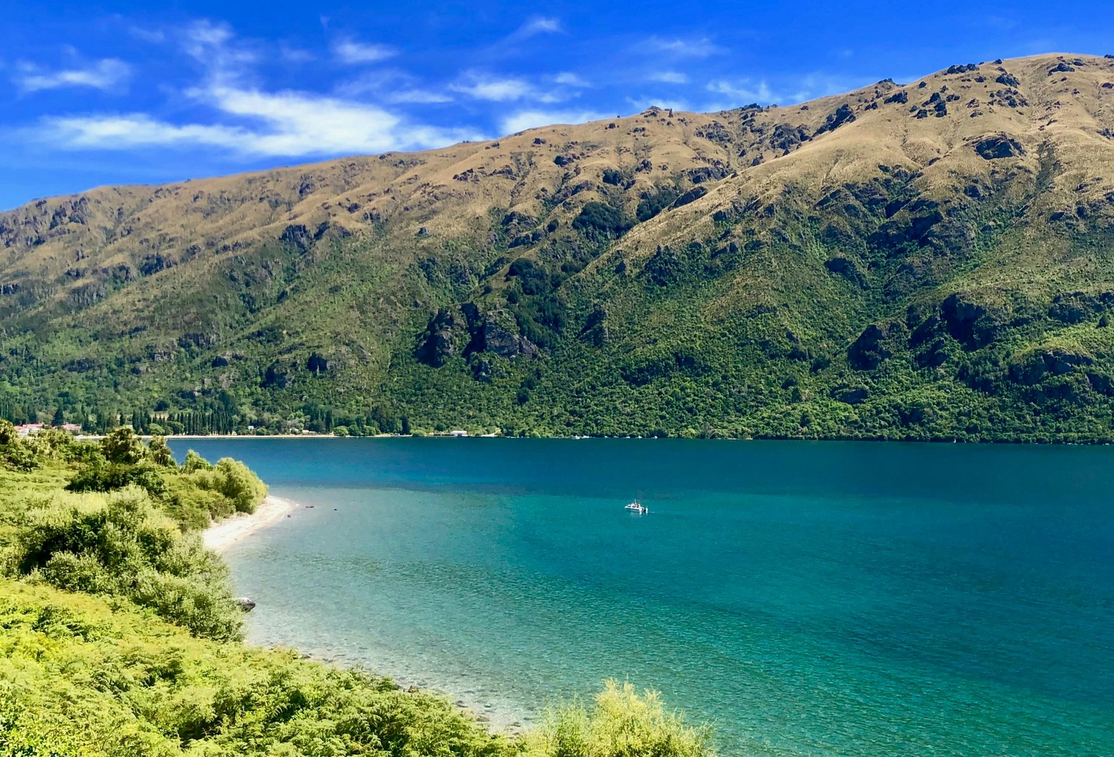 lake Hawea in otago region new zealand tour package