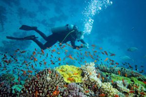 Maldives-Scuba-Diving-maldives tour package