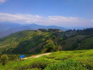 darjeeling valley, darjeeling tour