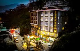 Hotel Pinasa residency