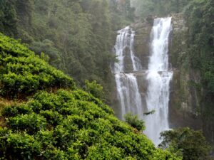 Water falls in North east tour package