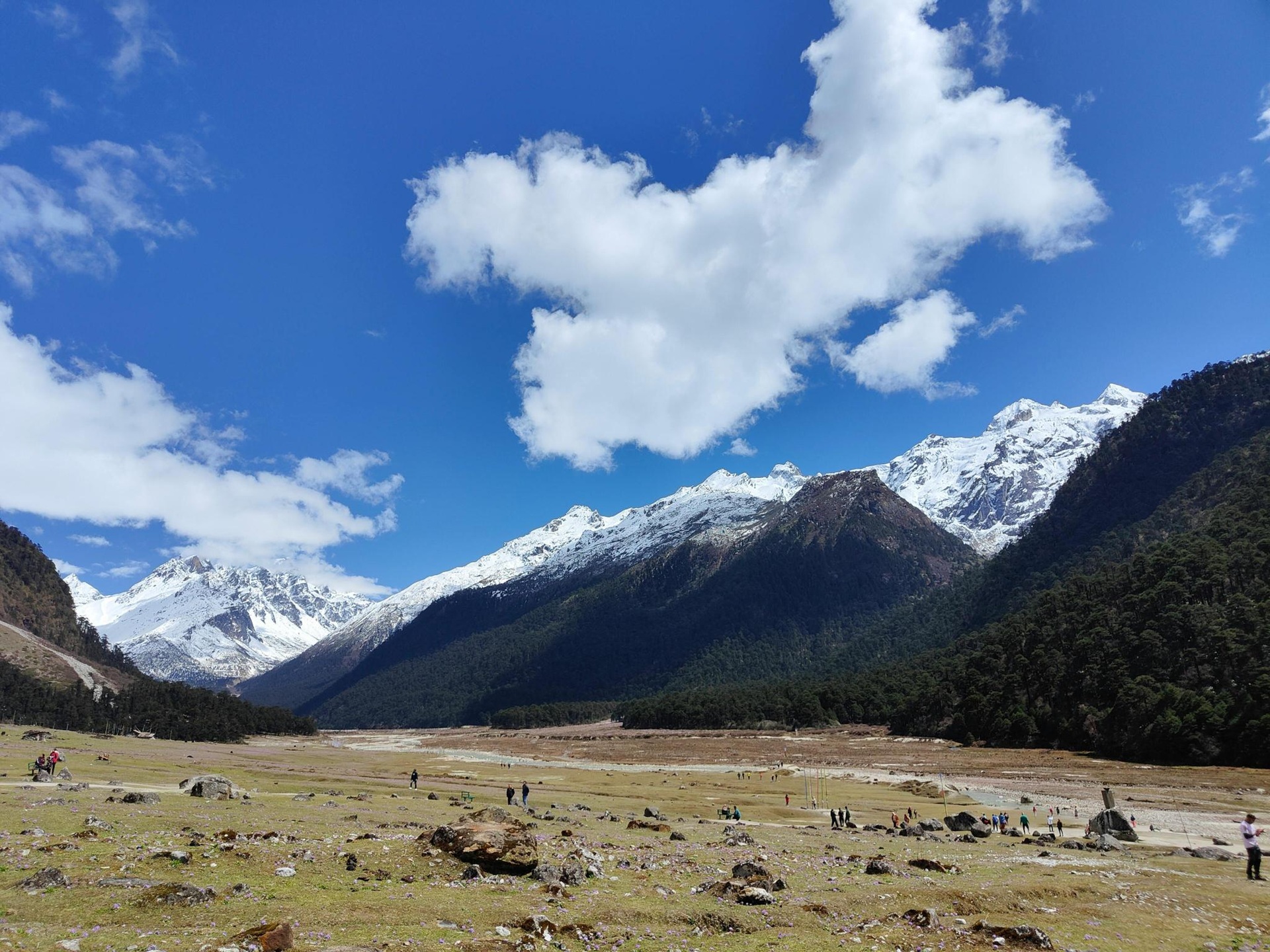Yumthang Valley, North sikkim tour
