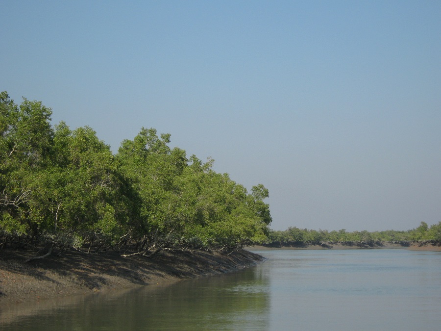 Sundarban Tour Package Tour Package