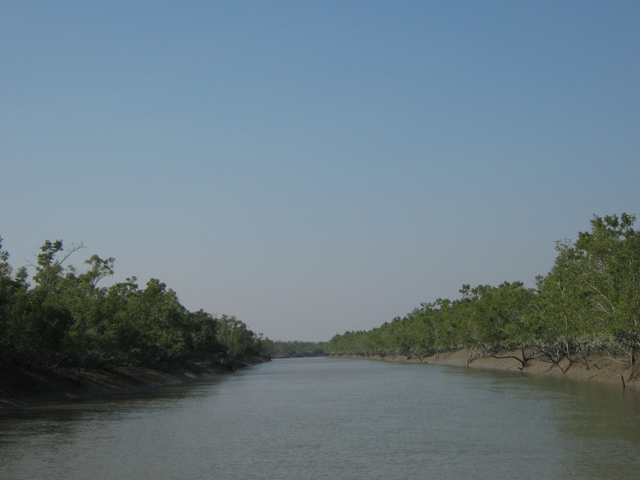 Sundarban Mangrove forest day tour safari