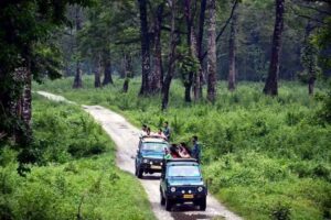 Jeep Safri Dooars