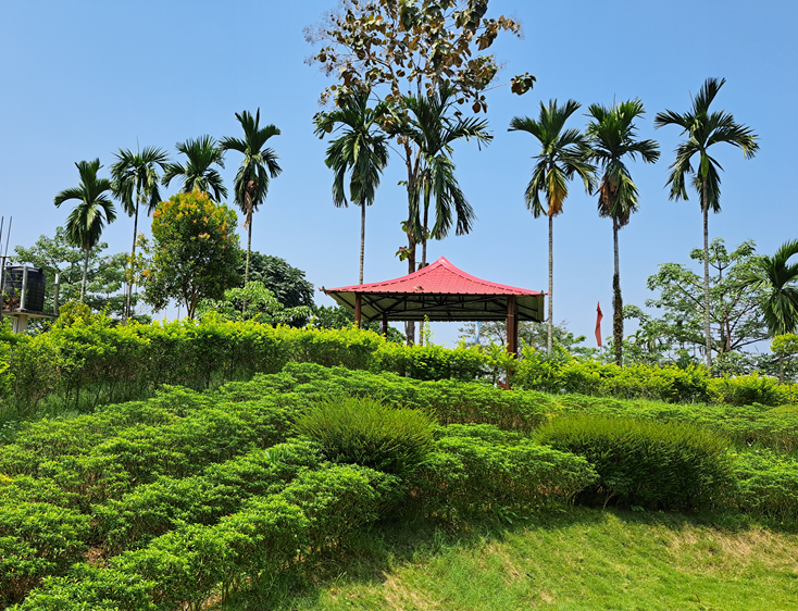Madarihat local sightseeing Dooars