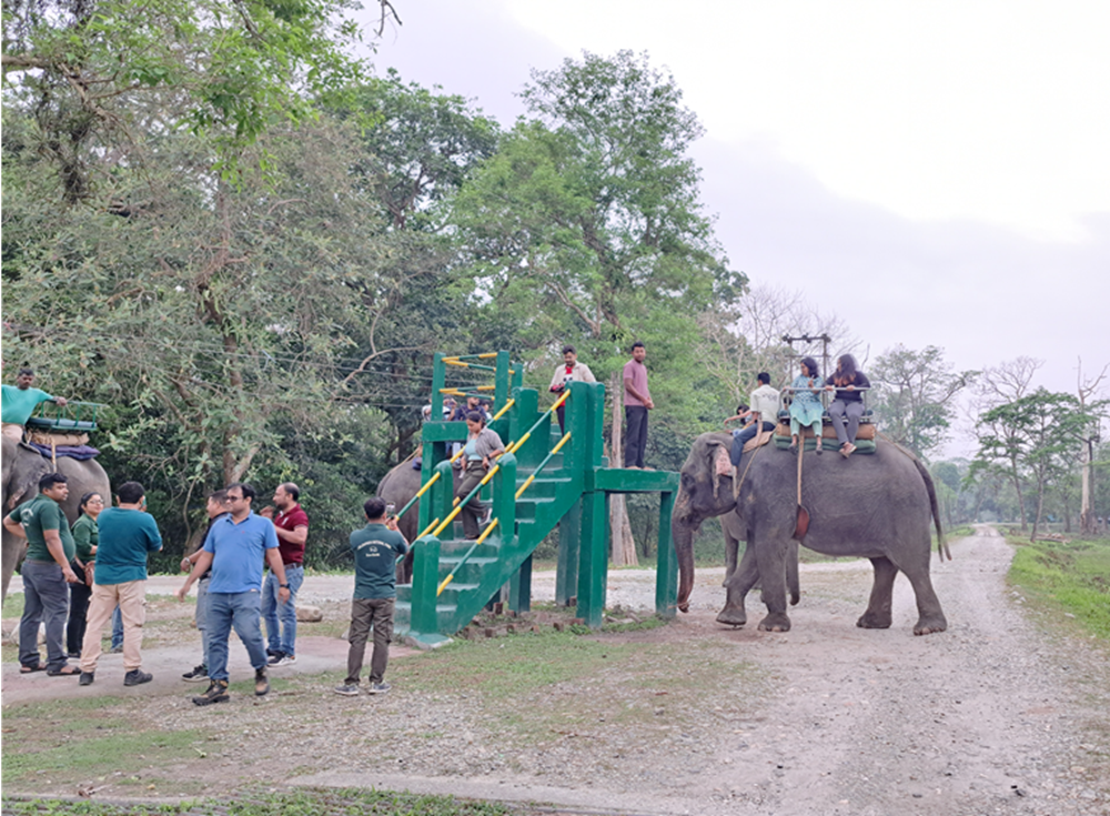 Elphant Safri in Holong Bungalow Jaldapara
