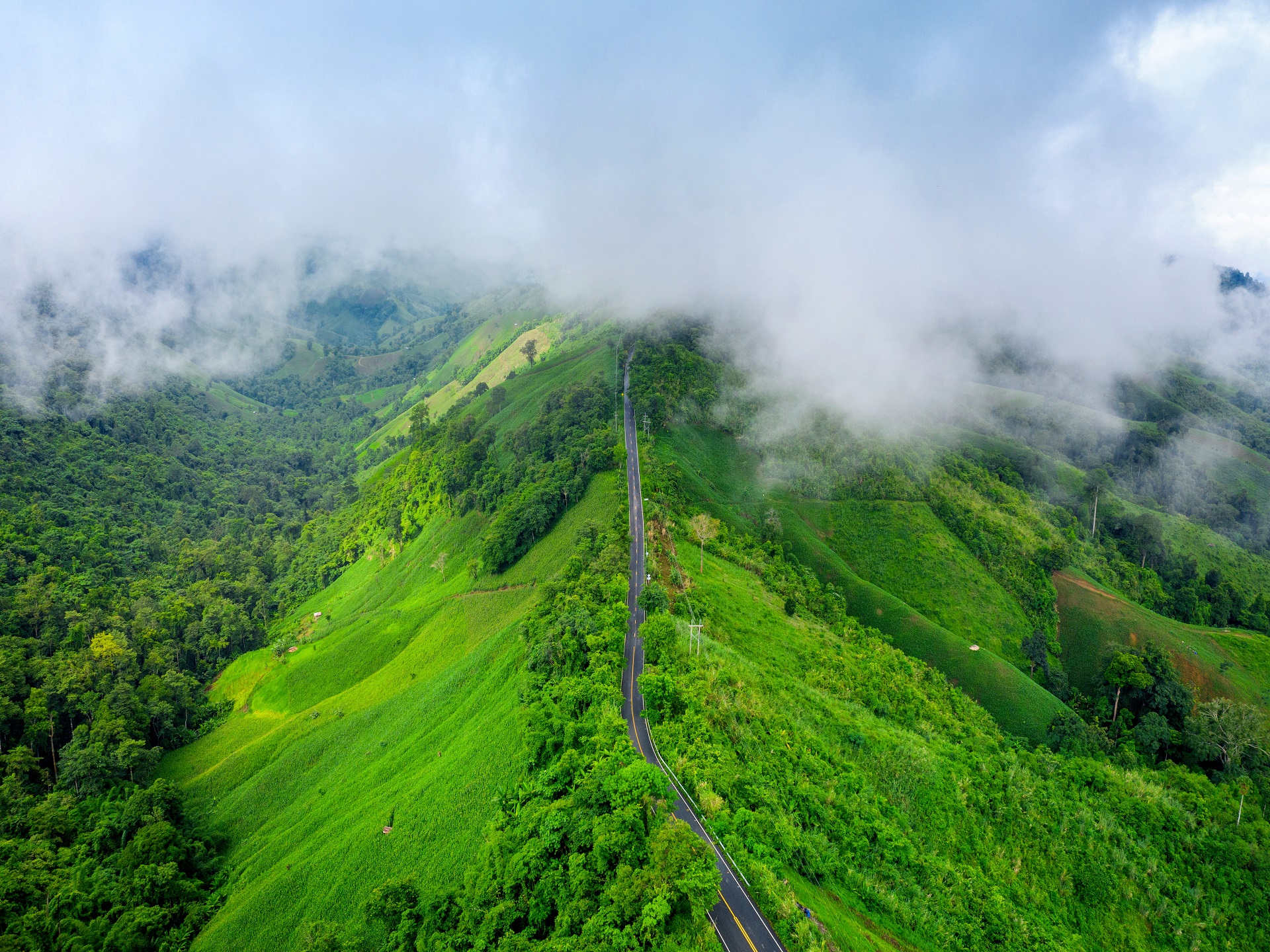 Tea Garden in North east tour