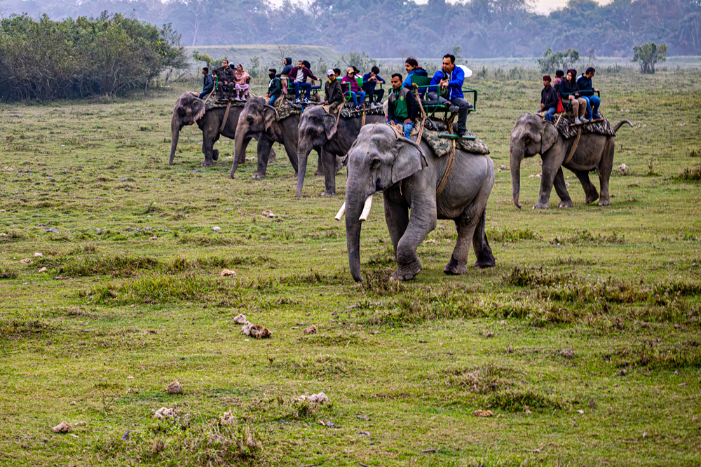 Explore Meghalaya & Kaziranga: 6 Nights 7 Days North East Tour