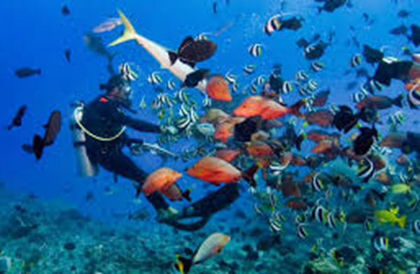 Under water in Nusa Penida bali tour