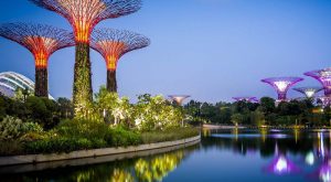 Garden by the bay singapore holiday