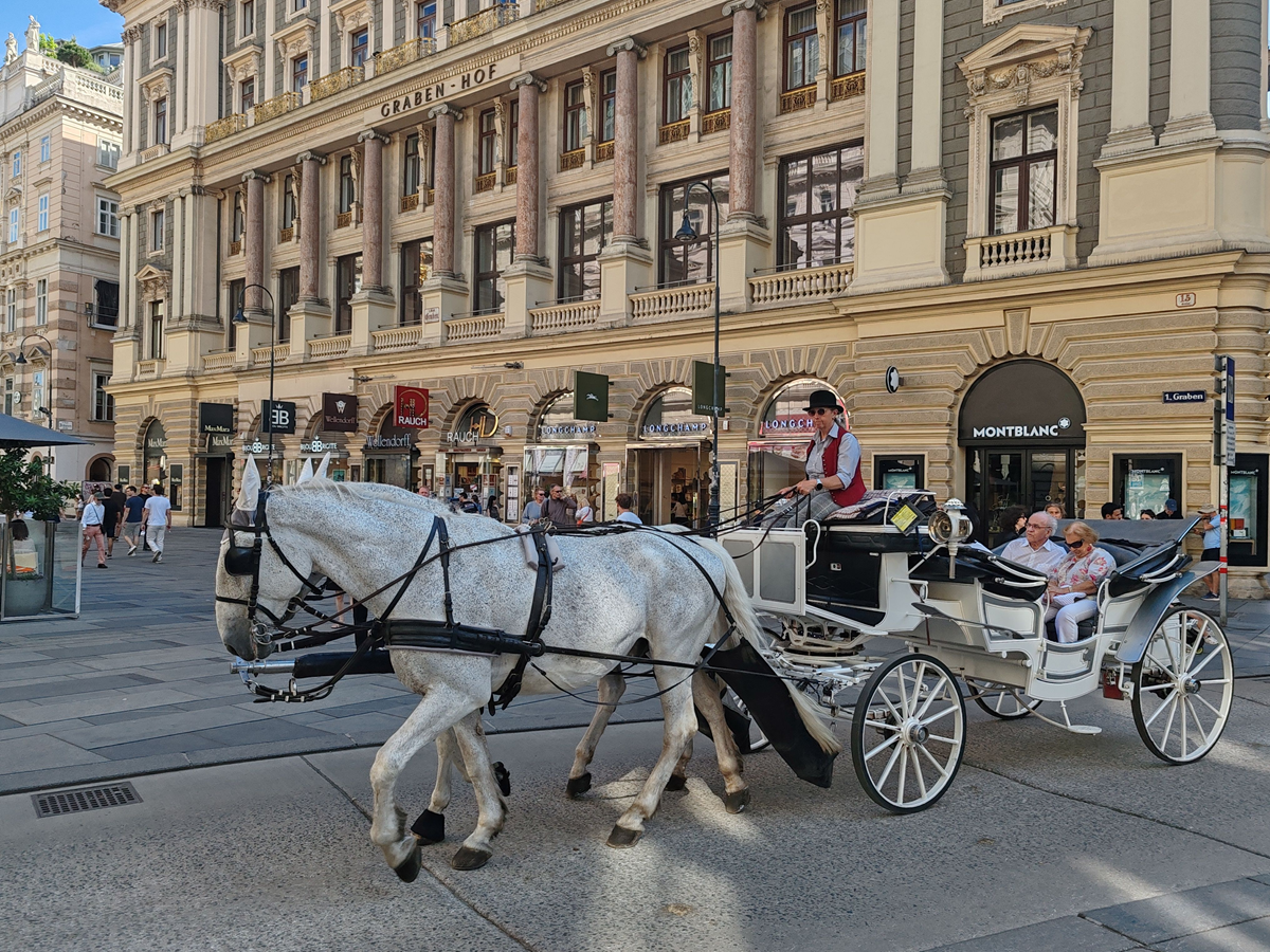 Vienna Horse carriage ride, europe tour from India