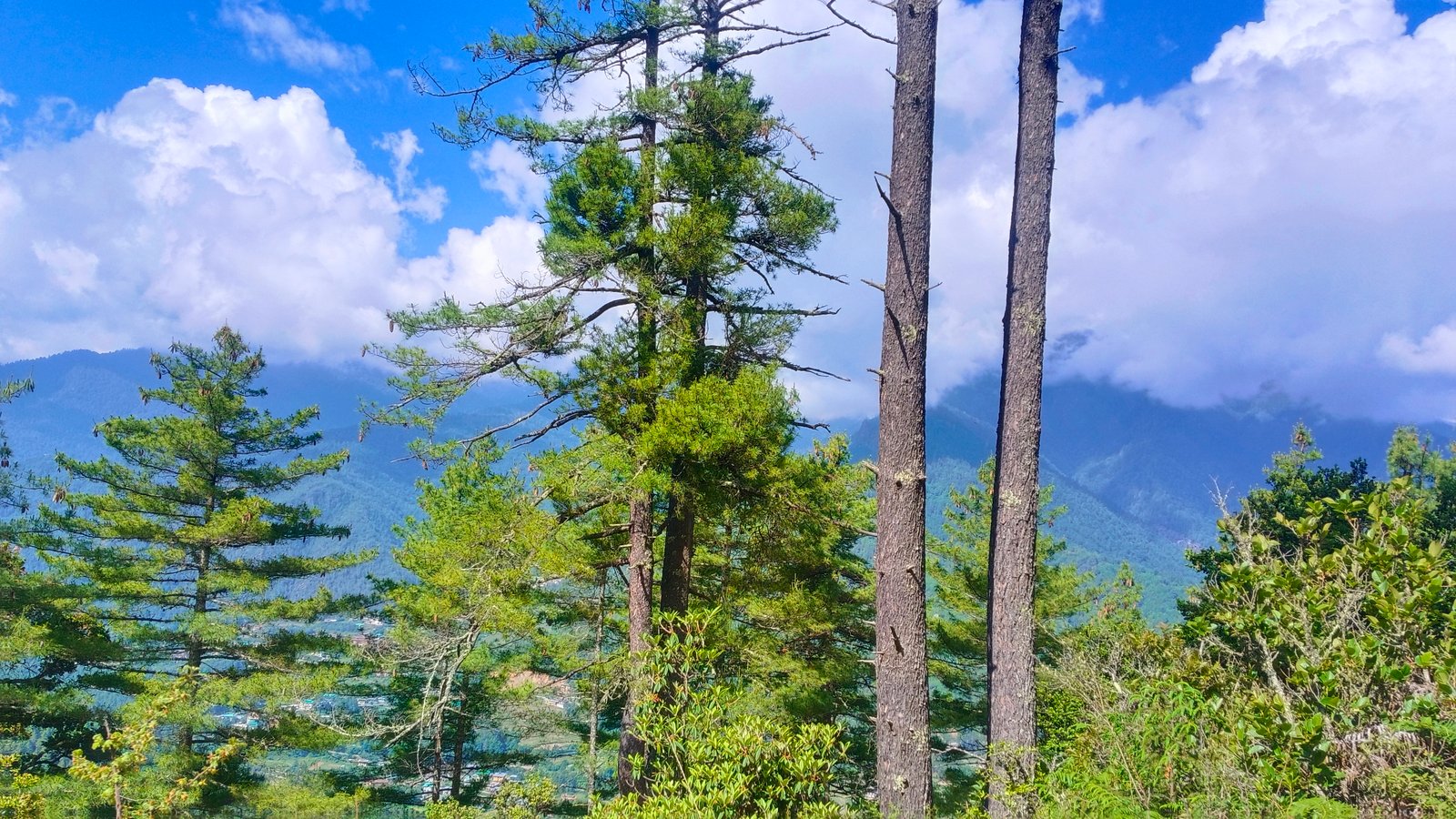 Bhutan Tour