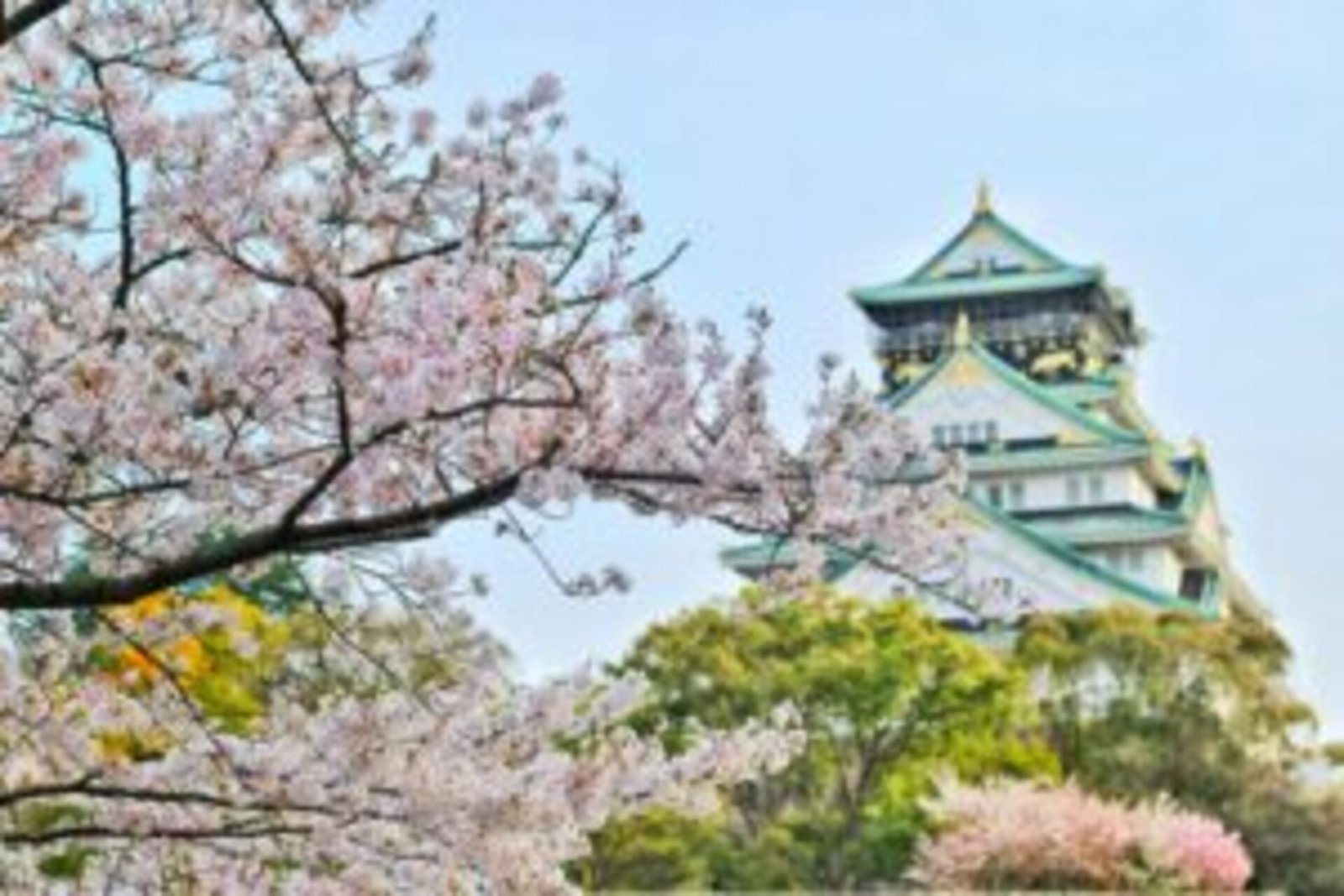 Japan Tour Package from Kolkata Tour Package