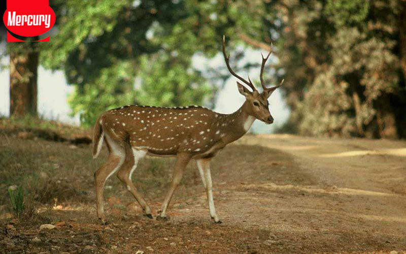 Sundarban tour package price