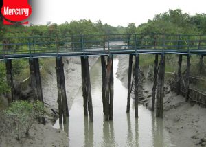 Netidhopani watchtower