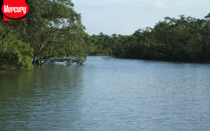 sundarban tour plan from kolkata