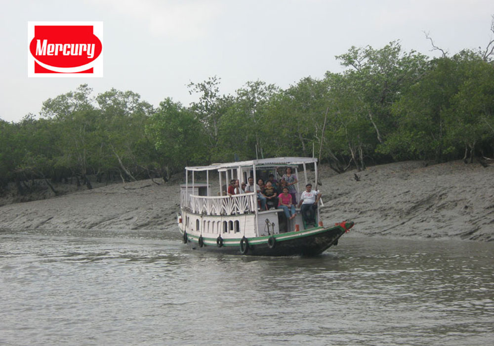 sundarban tour by launch from kolkata