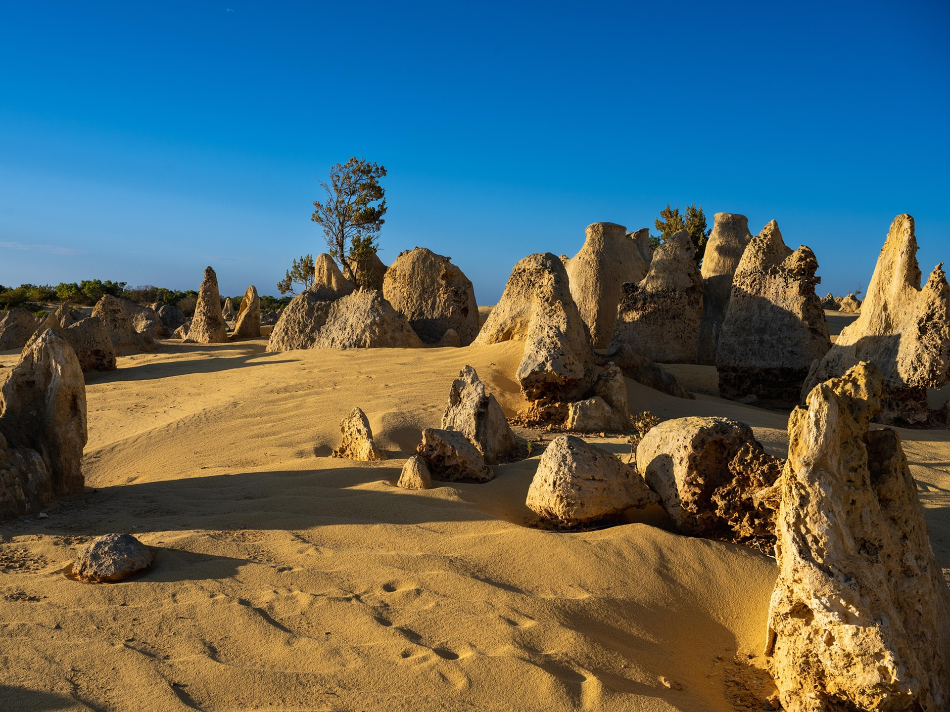 Great Barrier reef cairns australia tour