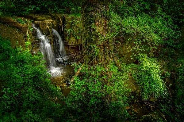 Aberdare National Park waterfalls