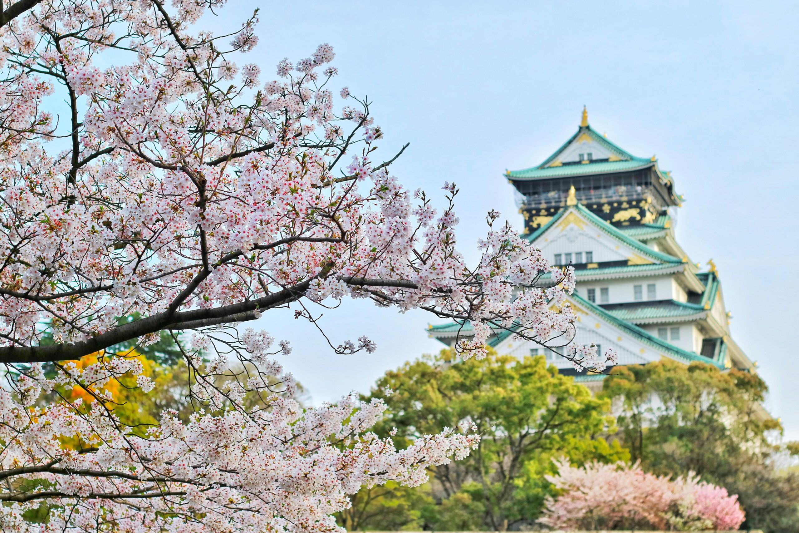 Osaka Japan during Cherry Blossom