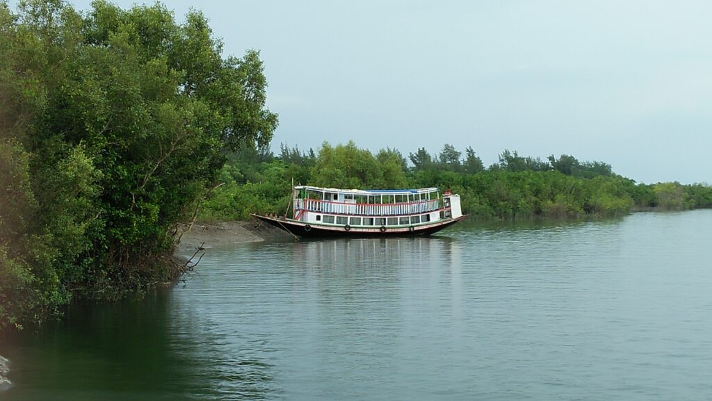 Motorized Boat in Sundarban Mangrove forest