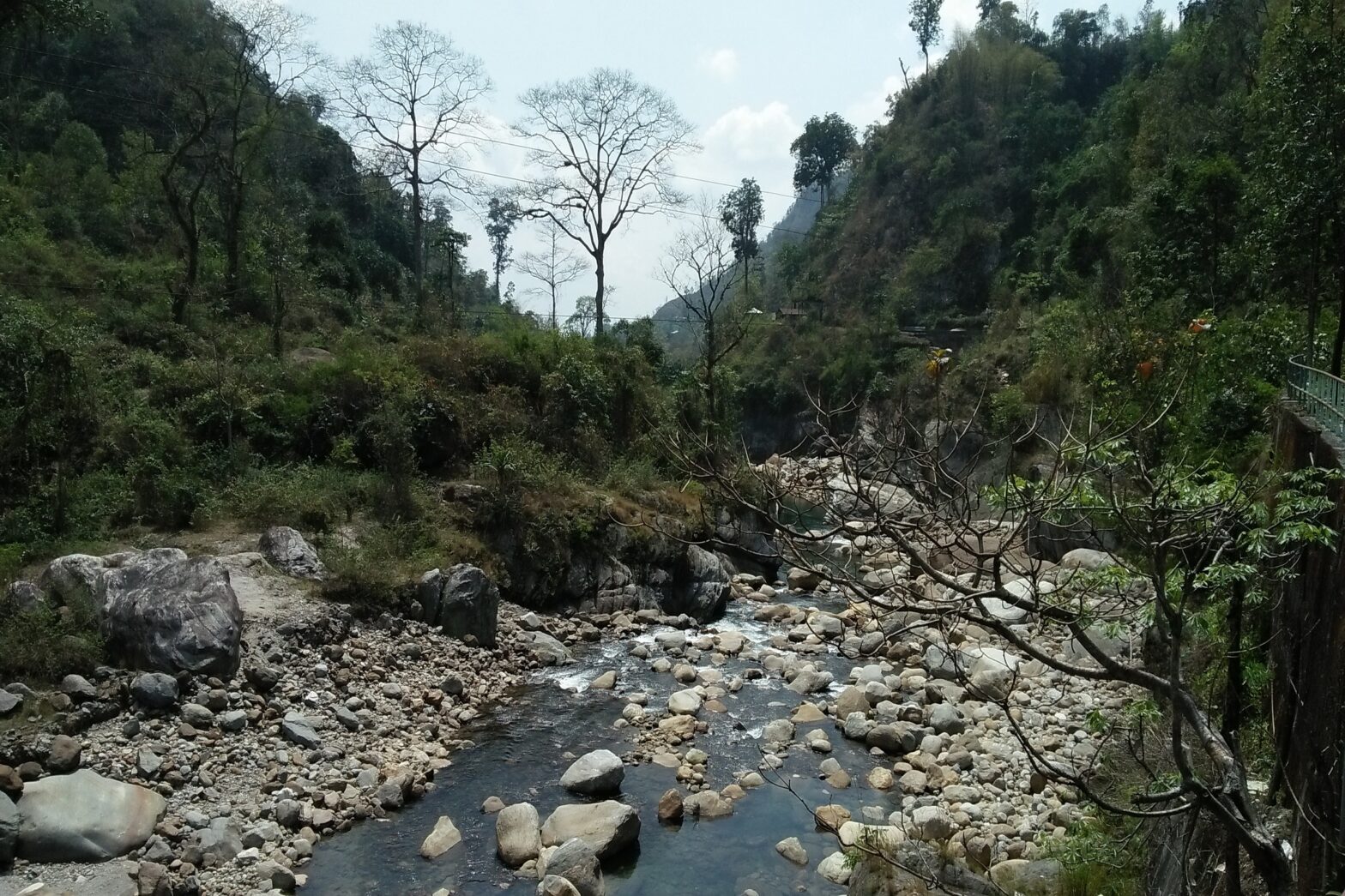 Murti River and jungle