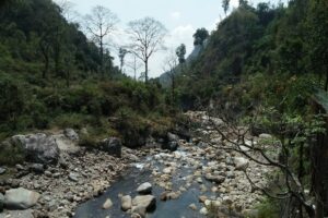 Murti River and jungle