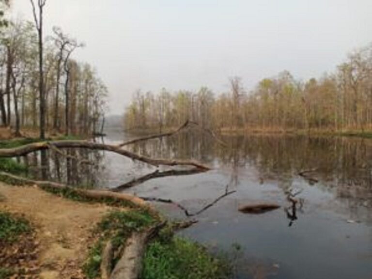 Chitwan-Jungle-Tour-Nepal