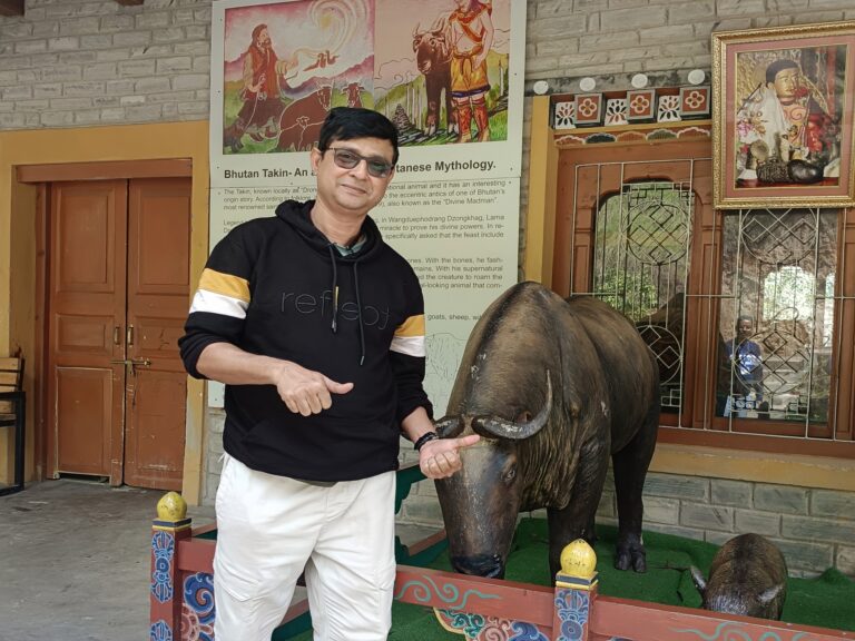 National takin Preserve at Motithang Thimphu Bhutan